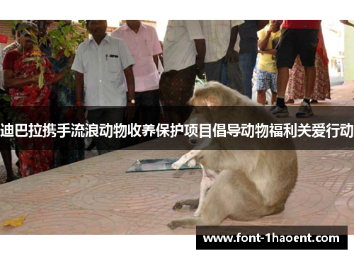 迪巴拉携手流浪动物收养保护项目倡导动物福利关爱行动