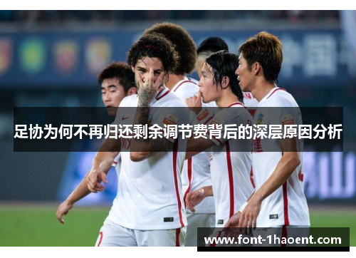 足协为何不再归还剩余调节费背后的深层原因分析